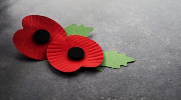 Support Remembrance Day and Remembrance Sunday events in Bath and North East Somerset